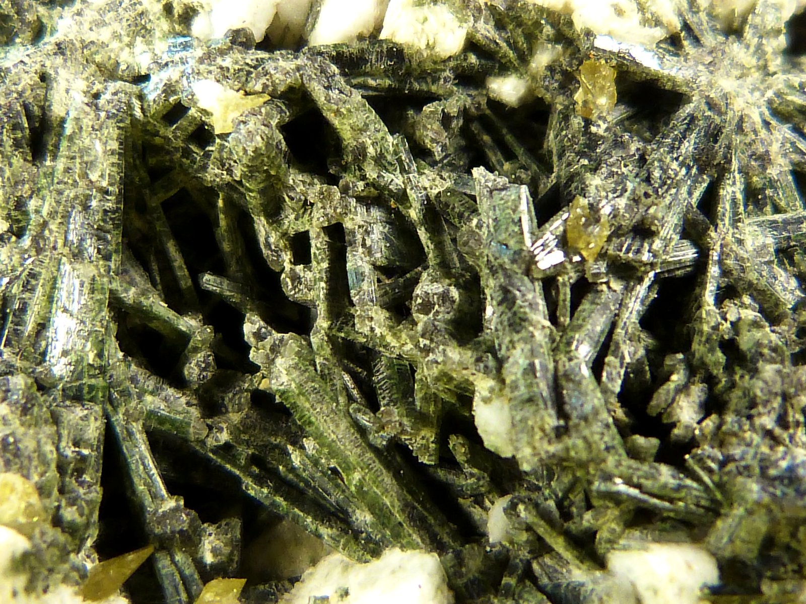 Ferro-actinolita
10 x 5 x 3 cm.
(Autor: Felipe Abolafia)