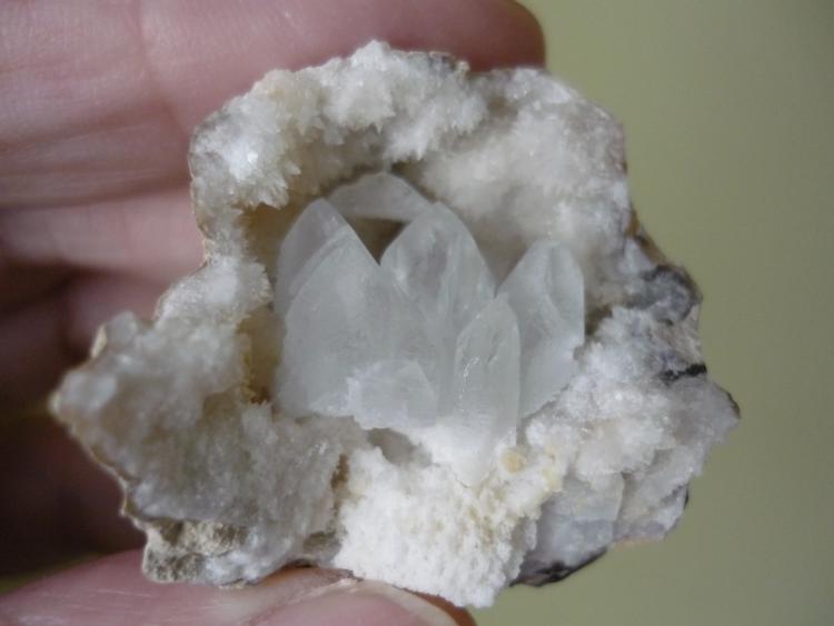 Celestina
4 x 3,5 x 2 cm.
(Autor: Tomas Ruiz de Arbulo Saez)