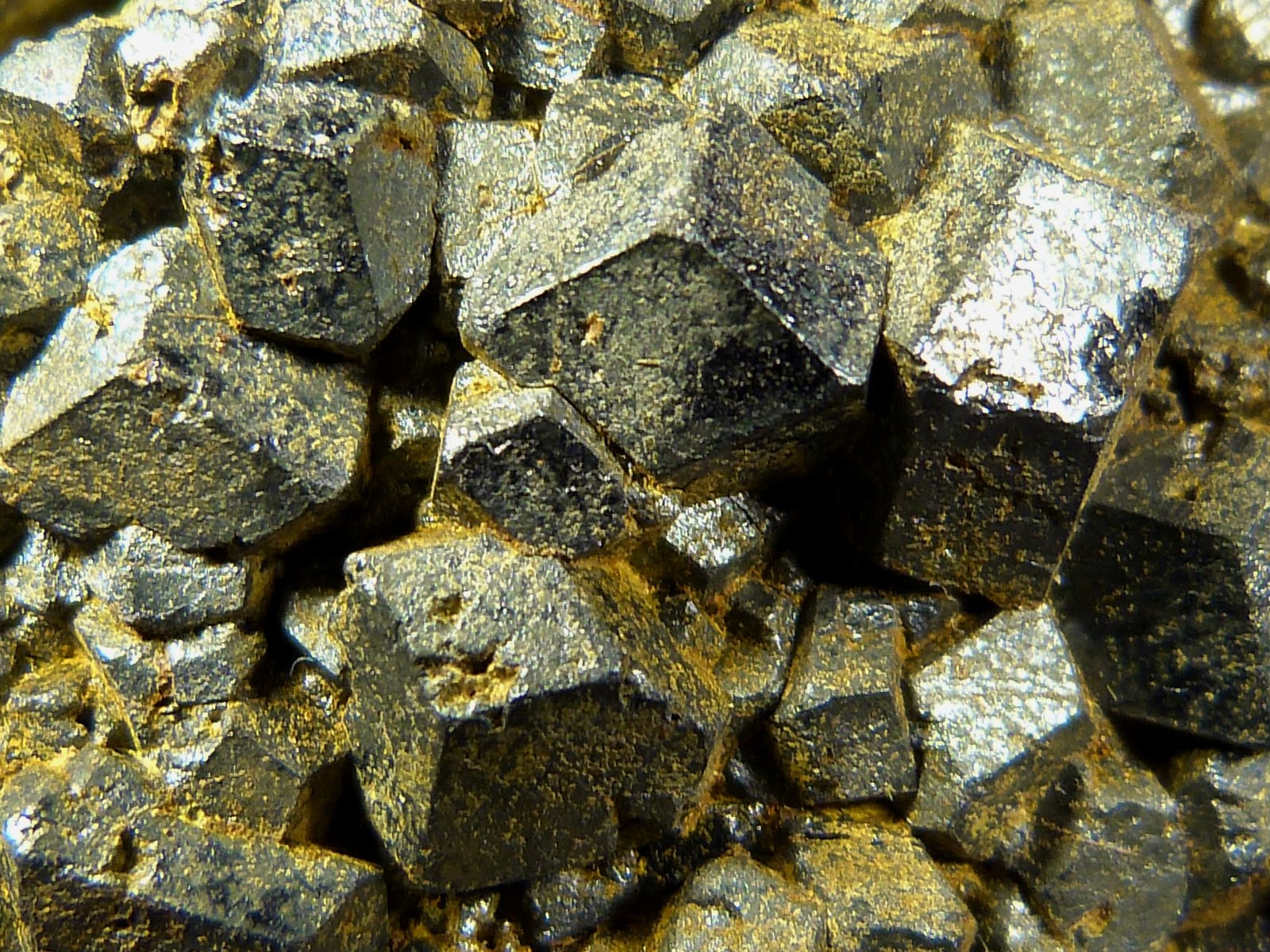 Magnetita
6 x 5 x 5 cm.
(Autor: Felipe Abolafia)