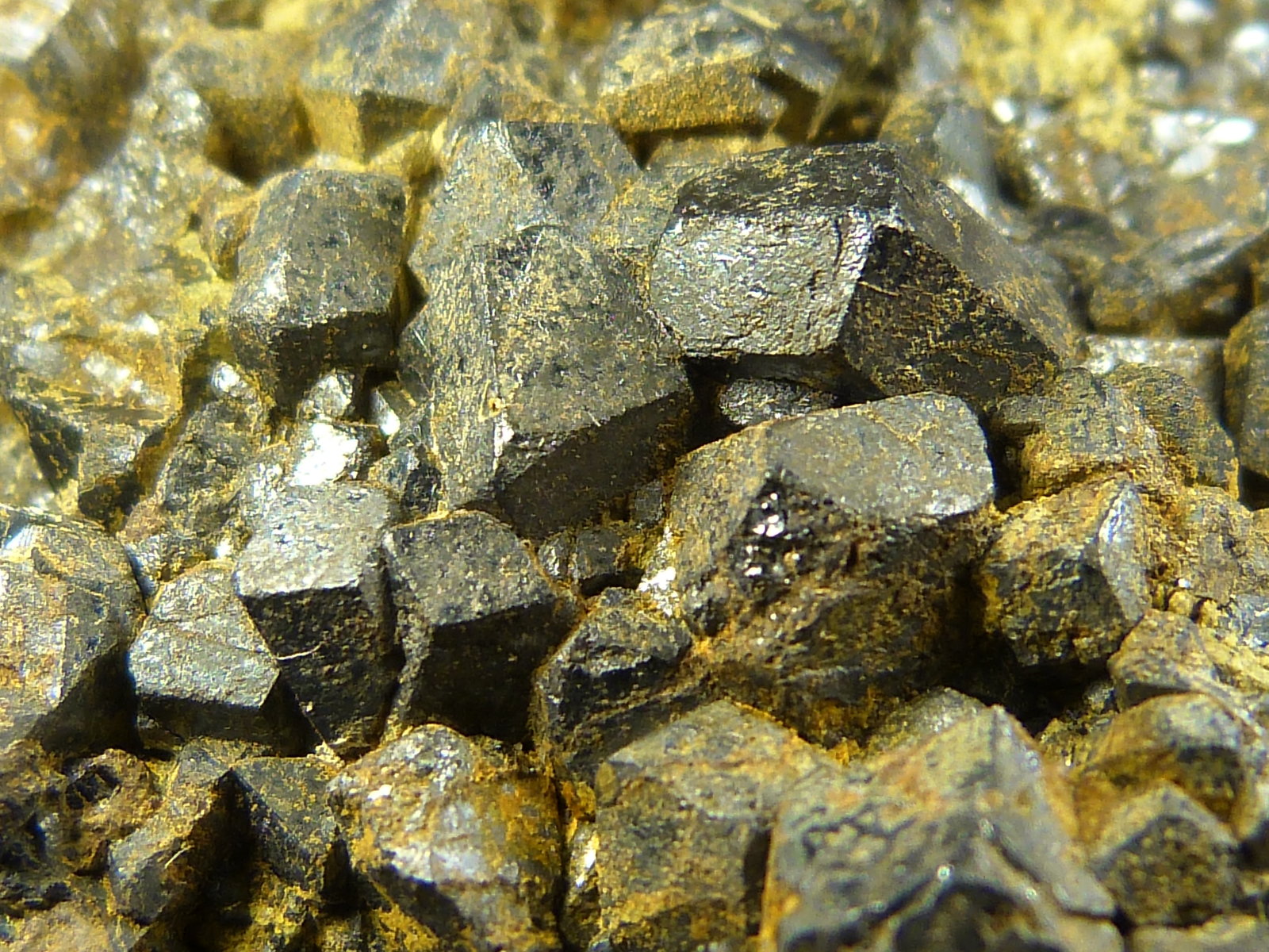 Magnetita
6 x 5 x 5 cm.
(Autor: Felipe Abolafia)