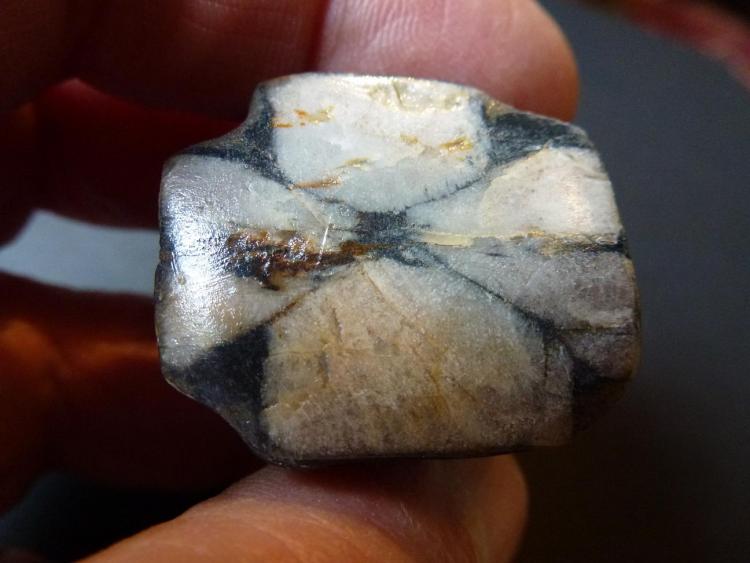 Andalucita (variedad Quiastolita)
3 x 3 cm.
(Autor: javier ruiz martin)
