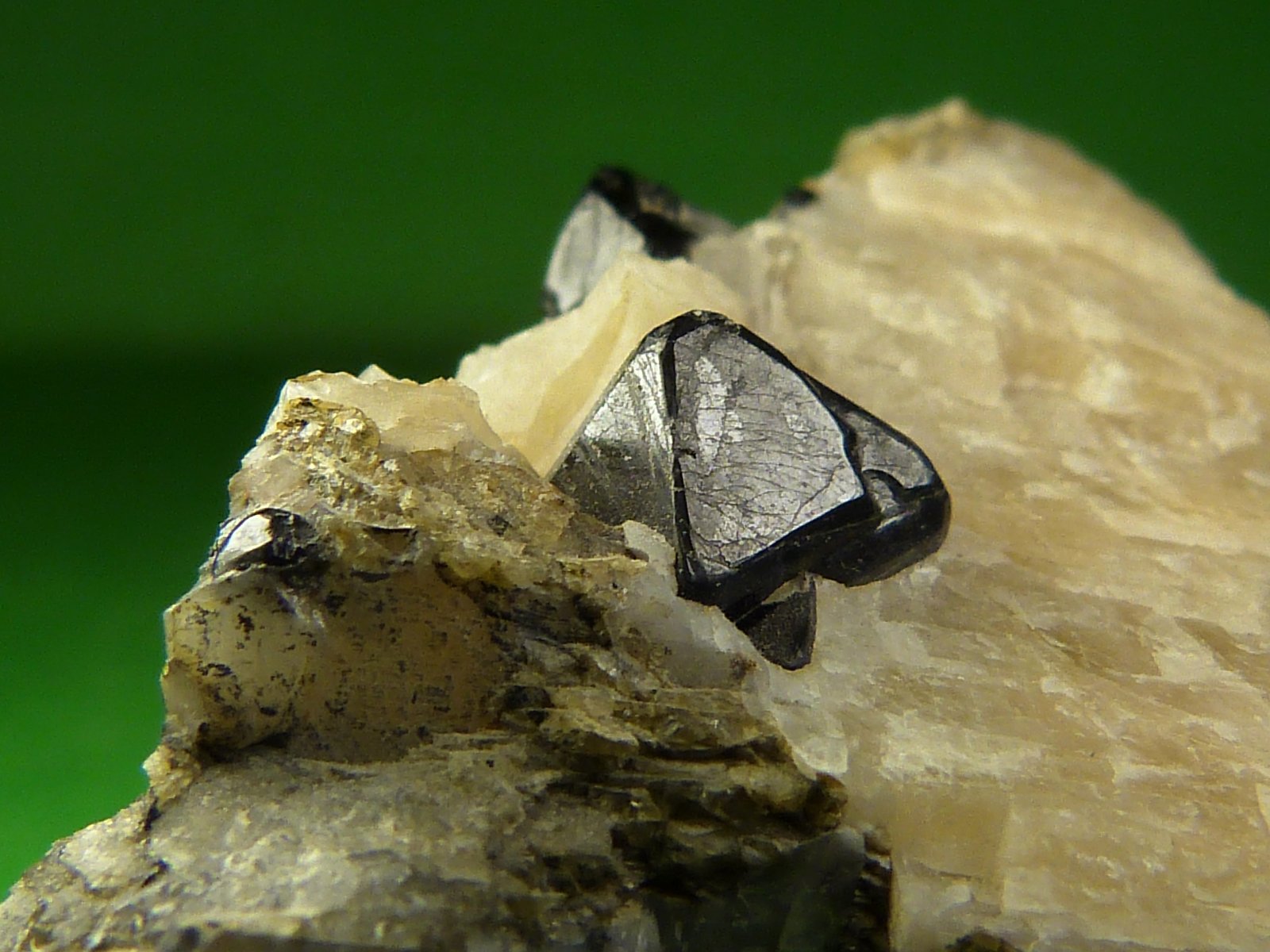 Espinela
Cristal: 5 x 5 mm.
(Autor: Felipe Abolafia)