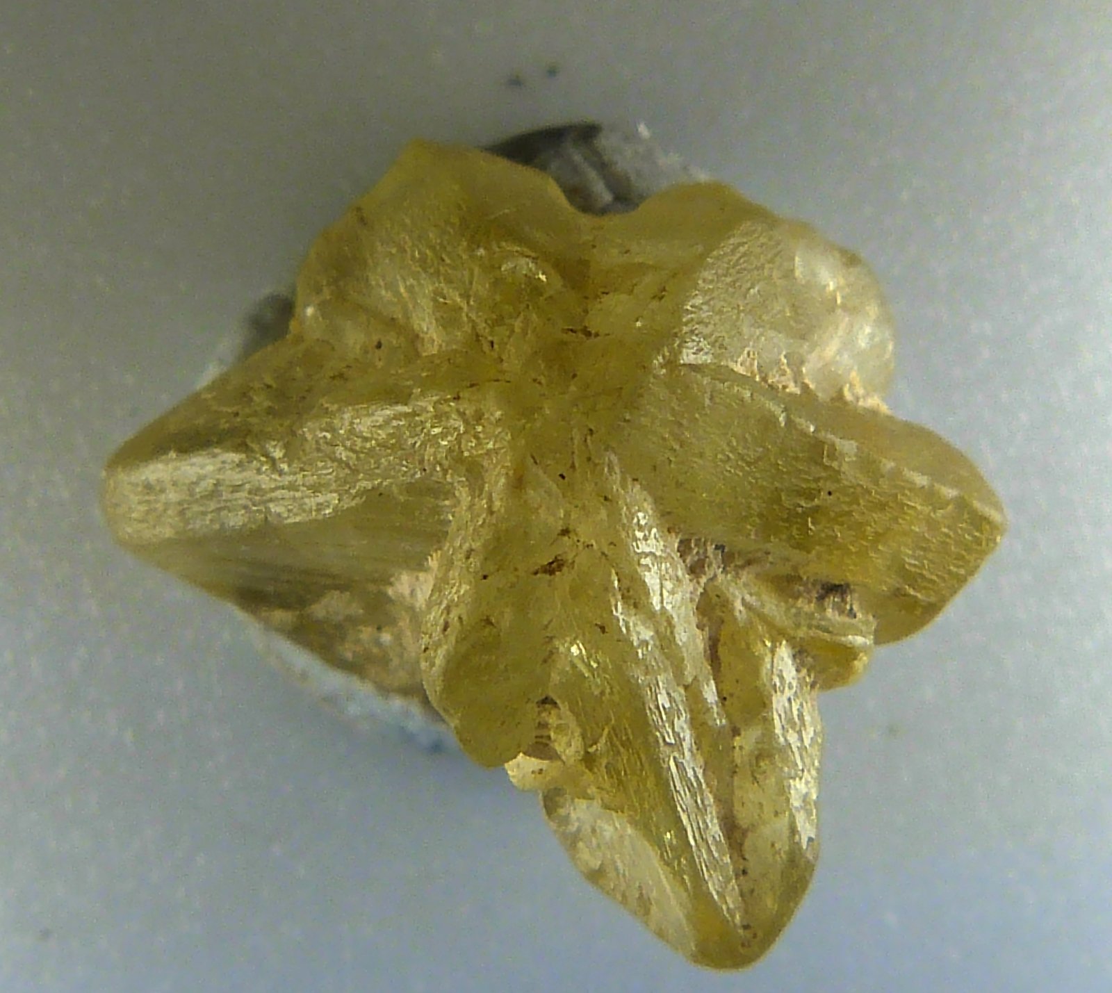 Crisoberilo
1 x 1 cm.
(Autor: Felipe Abolafia)