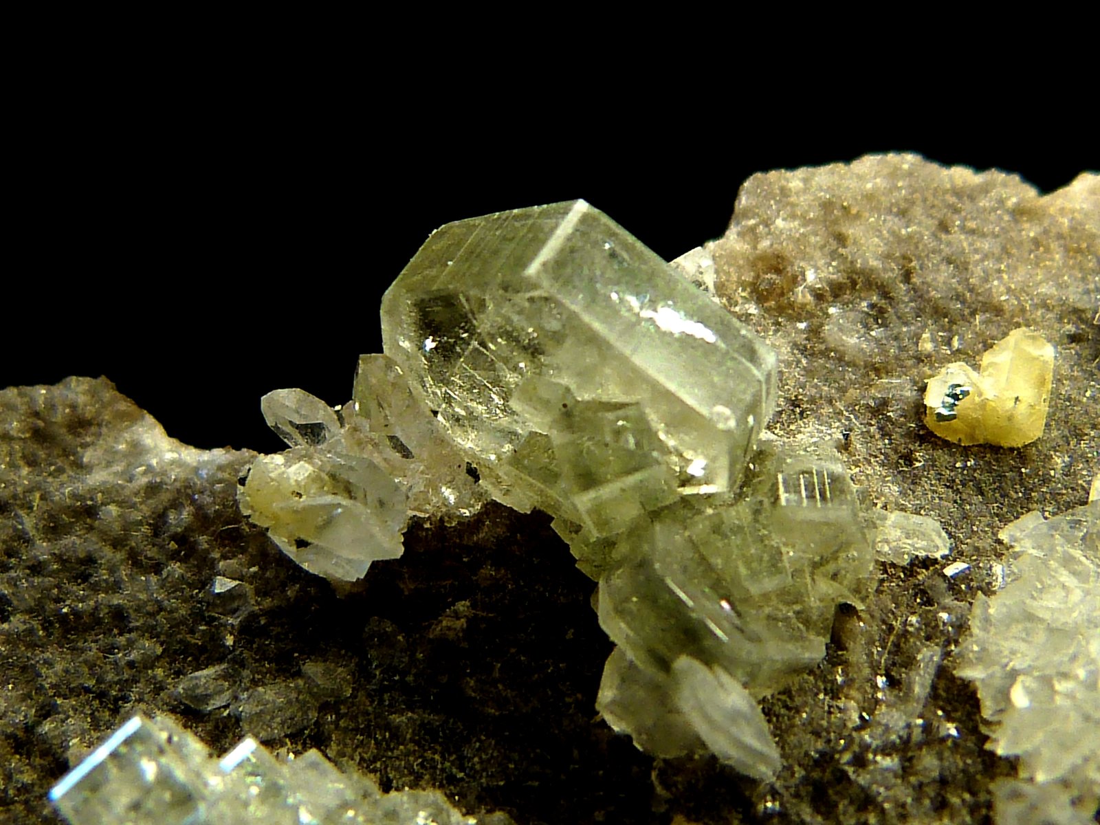 Moscovita (Grupo Mica), Cuarzo y Fluorapatito
9 x 4 x 6 cm.
(Autor: Felipe Abolafia)