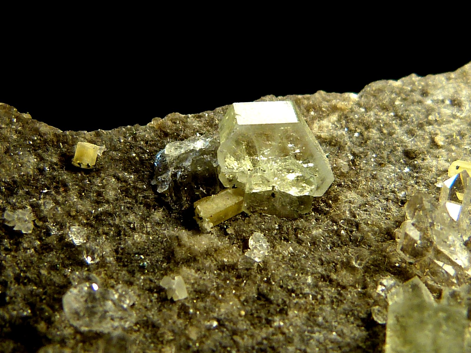 Moscovita (Grupo Mica), Cuarzo y Fluorapatito
9 x 4 x 6 cm.
(Autor: Felipe Abolafia)
