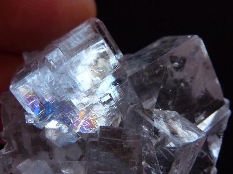 Fluorita
4 x 4 cm.
(Autor: javier ruiz martin)