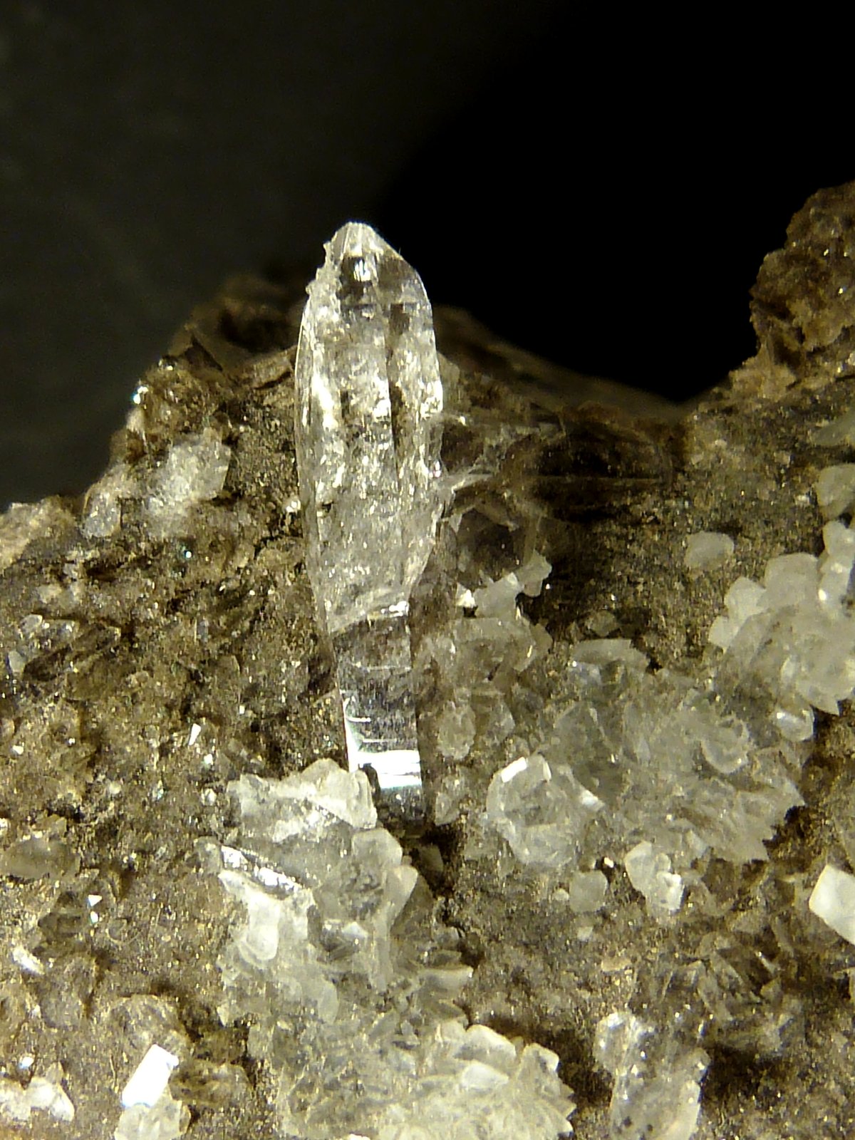 Moscovita (Grupo Mica), Cuarzo y Fluorapatito
9 x 4 x 6 cm.
(Autor: Felipe Abolafia)
