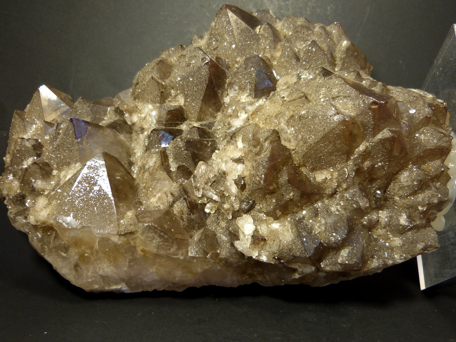 Cuarzo (variedad ahumado)
20 x 13 cm.
(Autor: Felipe Abolafia)