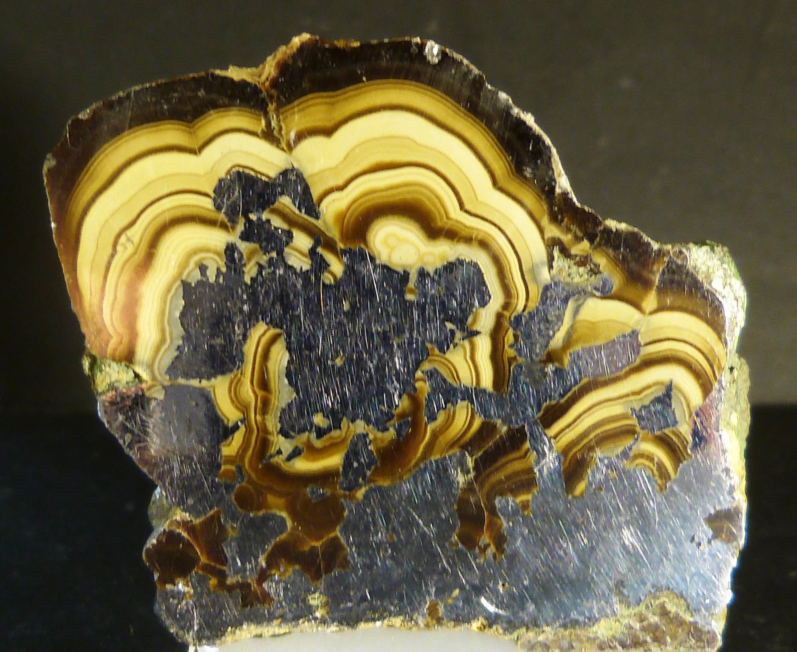 Esfalerita (variedad schalenblenda)
5 x 4,5 cm.
(Autor: Felipe Abolafia)