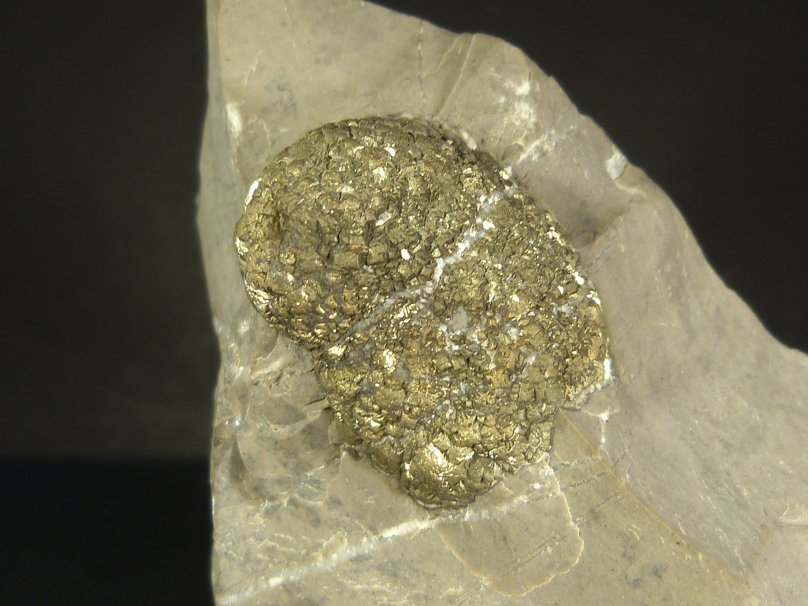Pirita
8 x 8 x 6 cm.
(Autor: Felipe Abolafia)