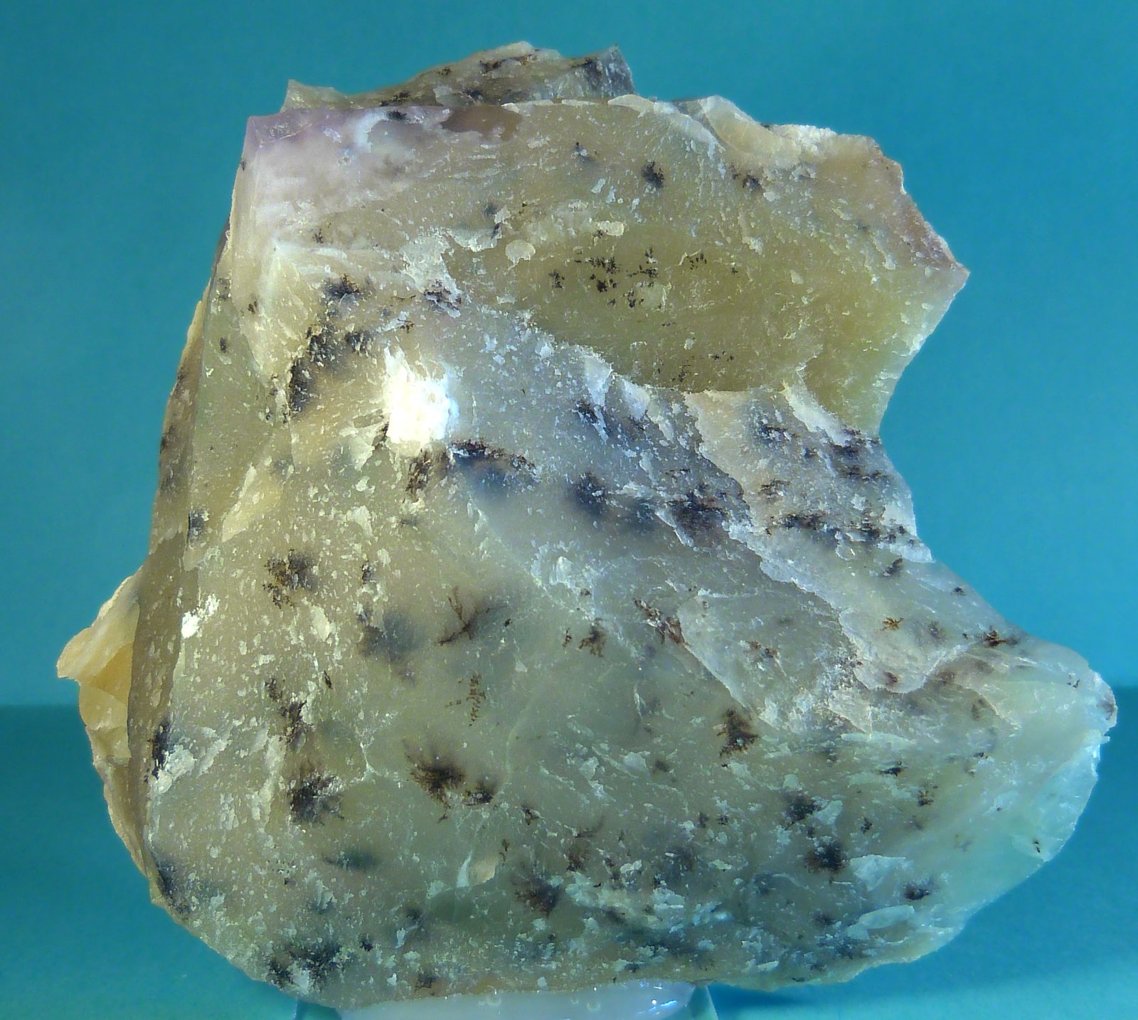 Opalo (variedad opalo dendrítico)
10 x 9 x 4 cm.
(Autor: Felipe Abolafia)