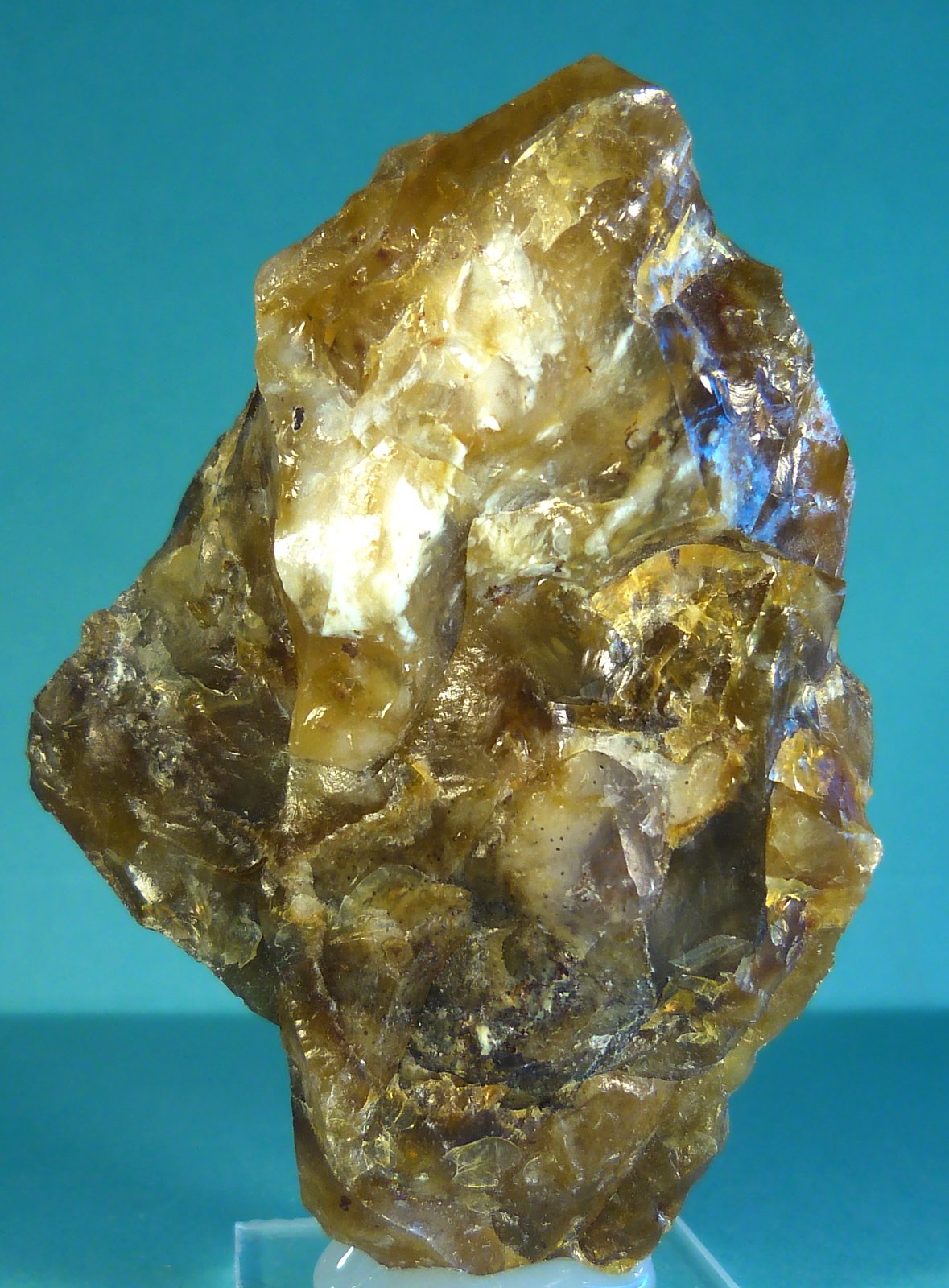 Opalo
7 x 5 x 3 cm.
(Autor: Felipe Abolafia)