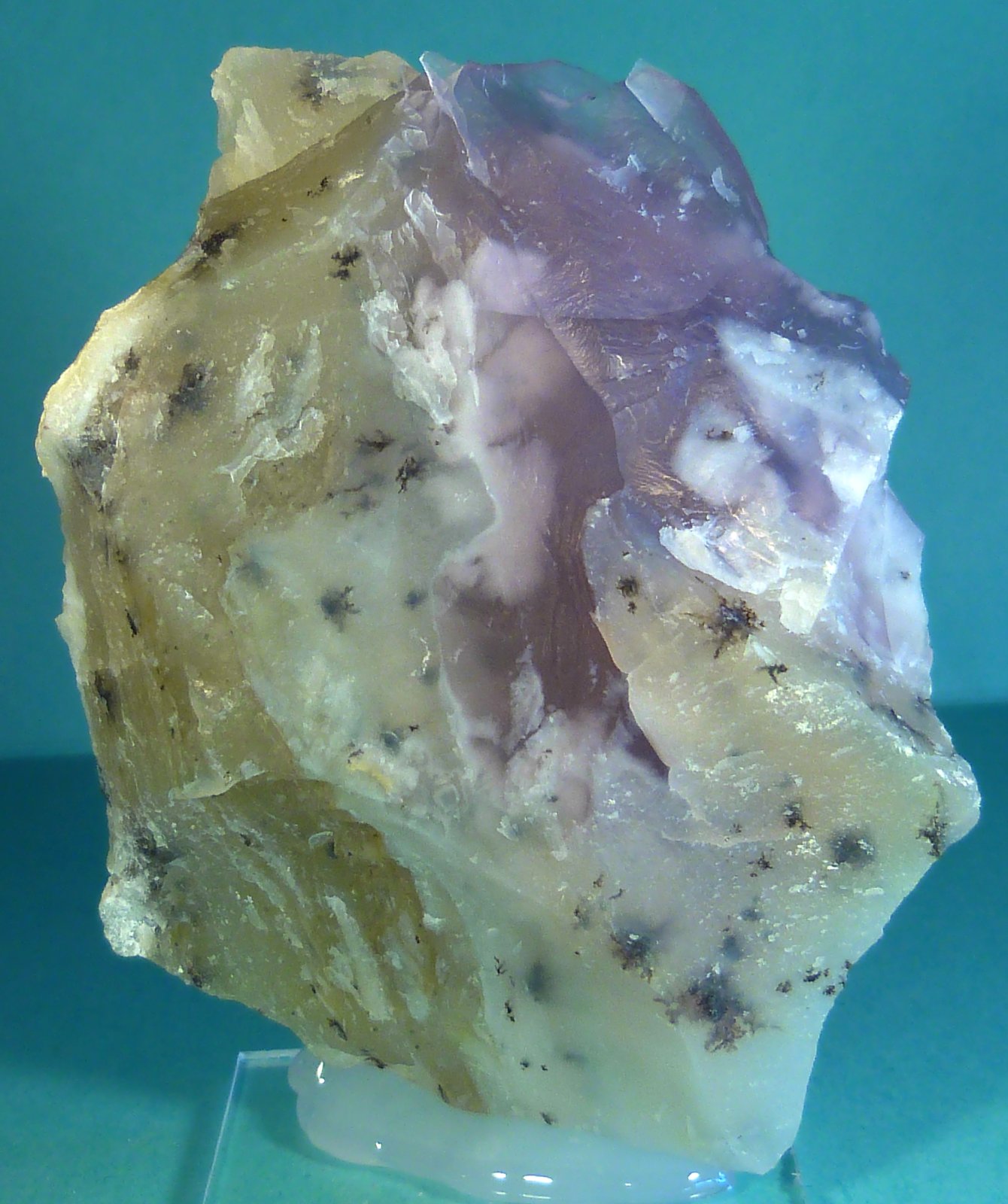 Opalo y Cuarzo (variedad calcedonia)
6 x 7,5 x 3 cm.
(Autor: Felipe Abolafia)