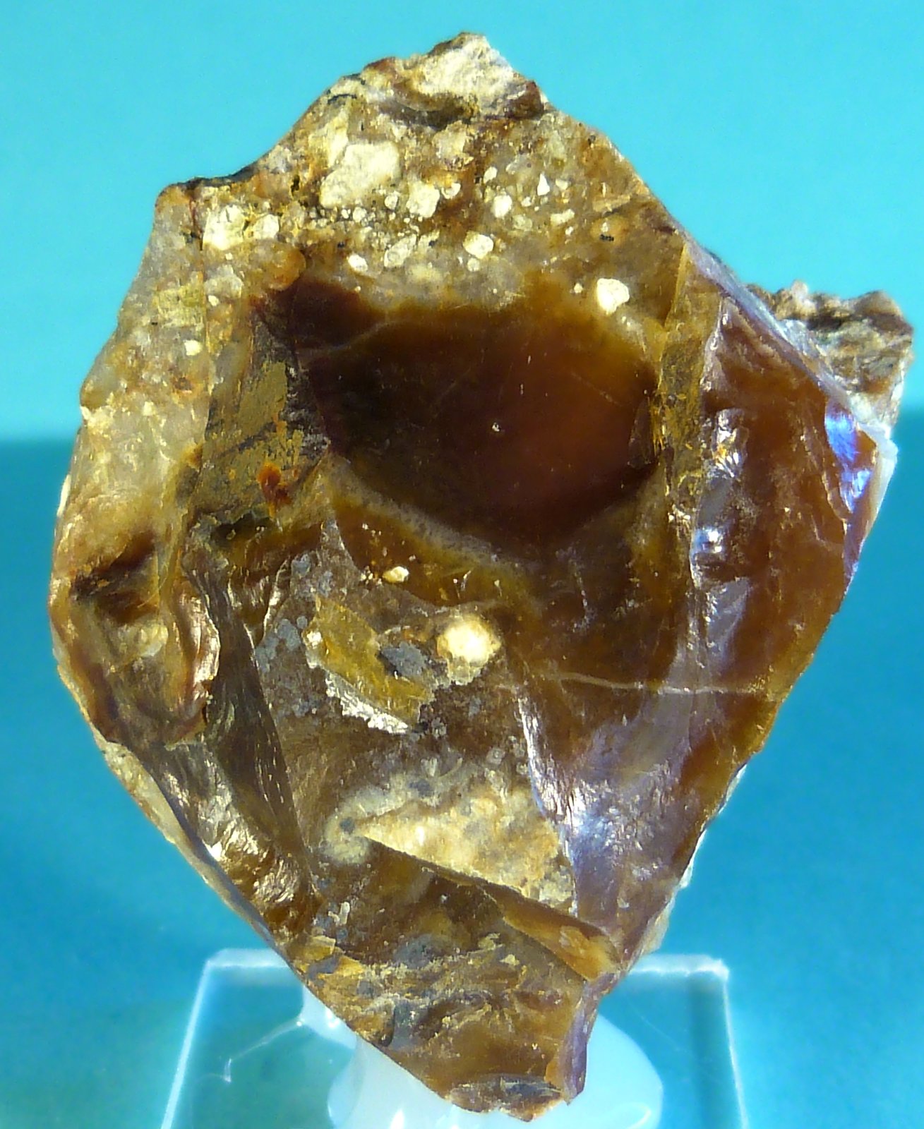 Opalo
6 x 4 x 2,5 cm.
(Autor: Felipe Abolafia)