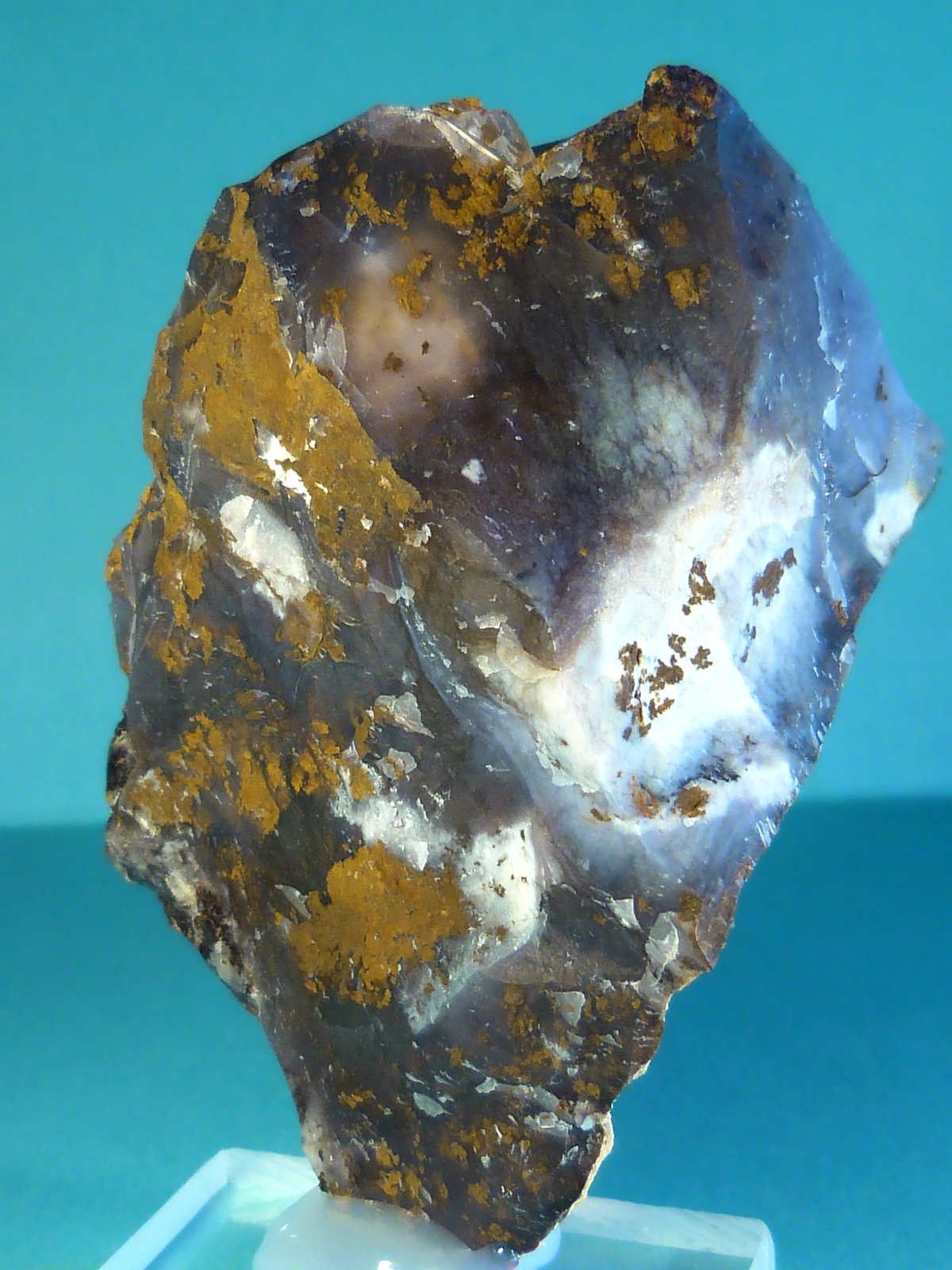 Cuarzo (variedad calcedonia)
8 x 5 x 4 cm.
(Autor: Felipe Abolafia)