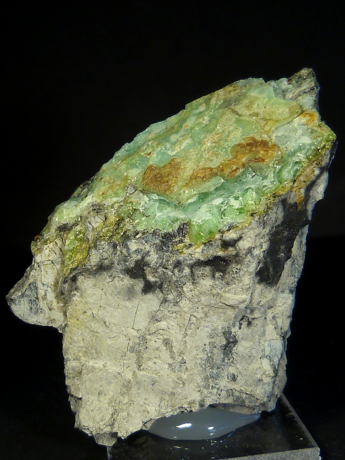 Alofana
4 x 5,5 x 2 cm.
(Autor: Felipe Abolafia)