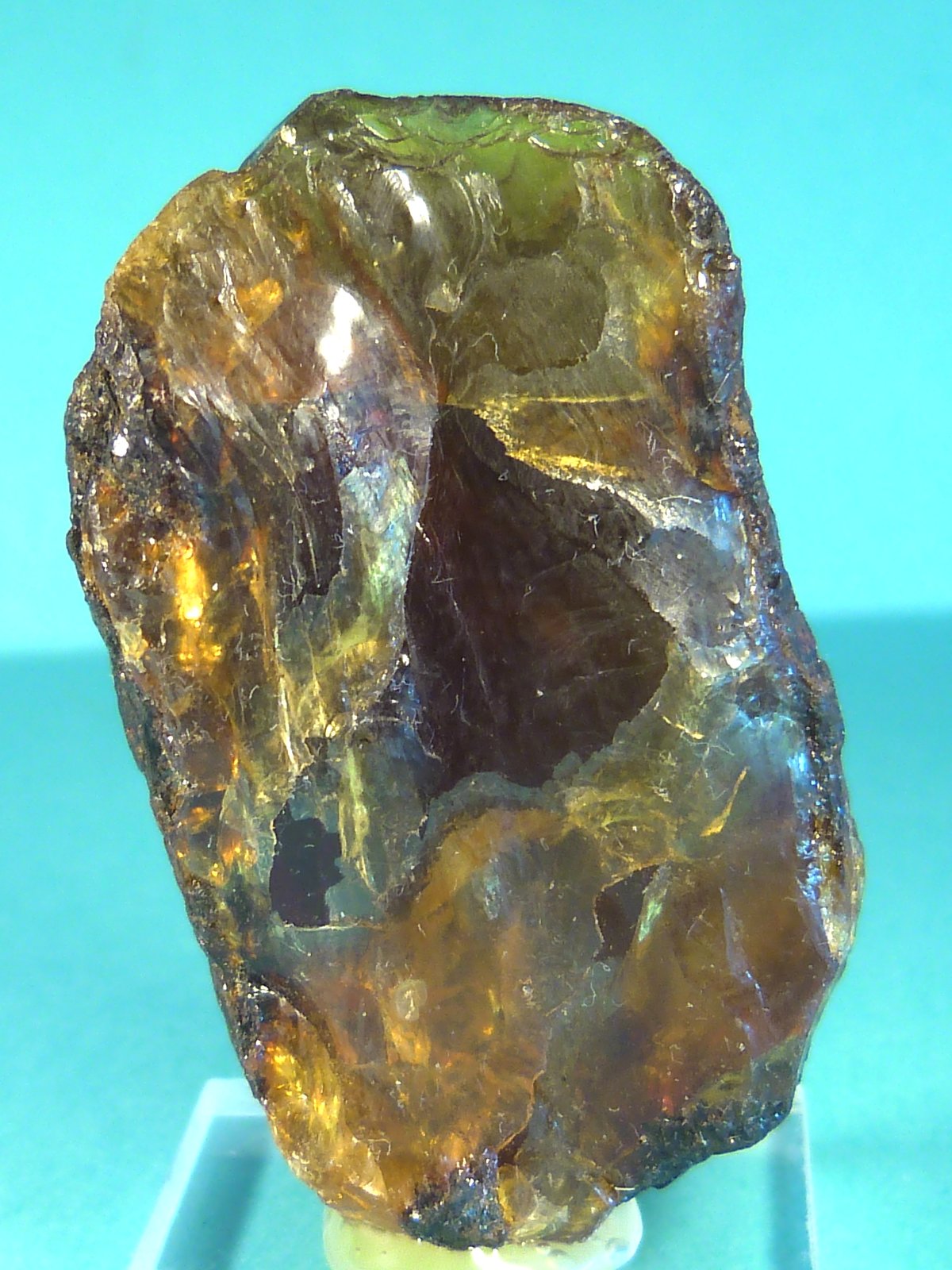Ámbar
5 x 3 x 2,5 cm.
(Autor: Felipe Abolafia)