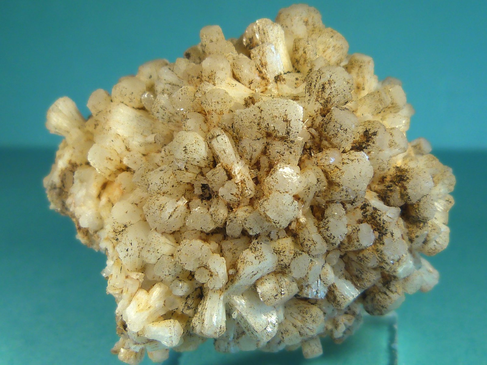 Stilbita-Ca (Estilbita-Ca)
5 x 3,5 cm.
(Autor: Felipe Abolafia)