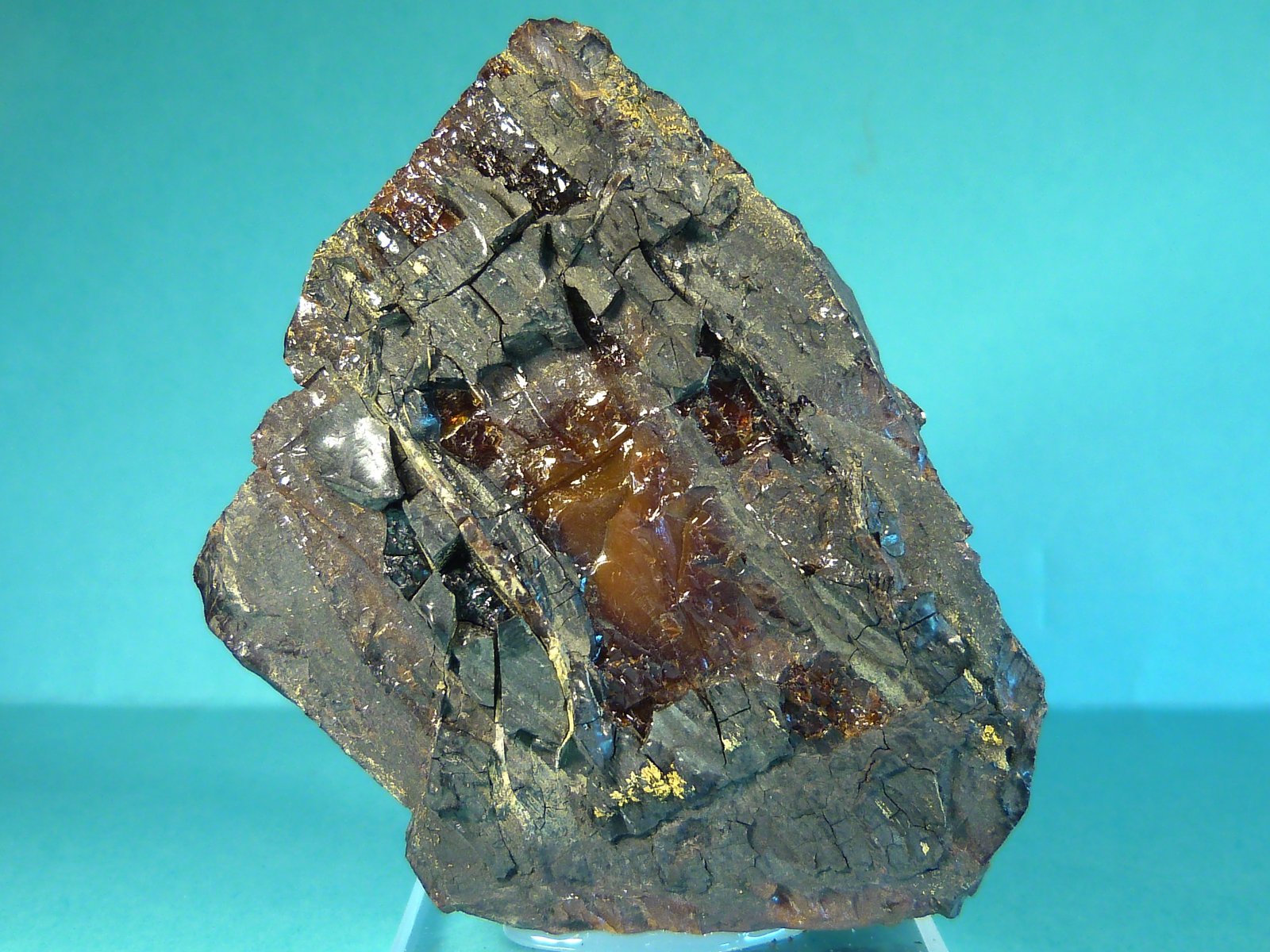 Ámbar
6 x 7 x 2 cm.
(Autor: Felipe Abolafia)