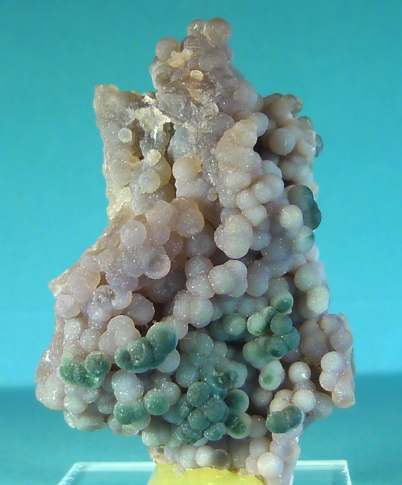 Cuarzo (variedad calcedonia)
5 x 3 x 2,5 cm.
(Autor: Felipe Abolafia)