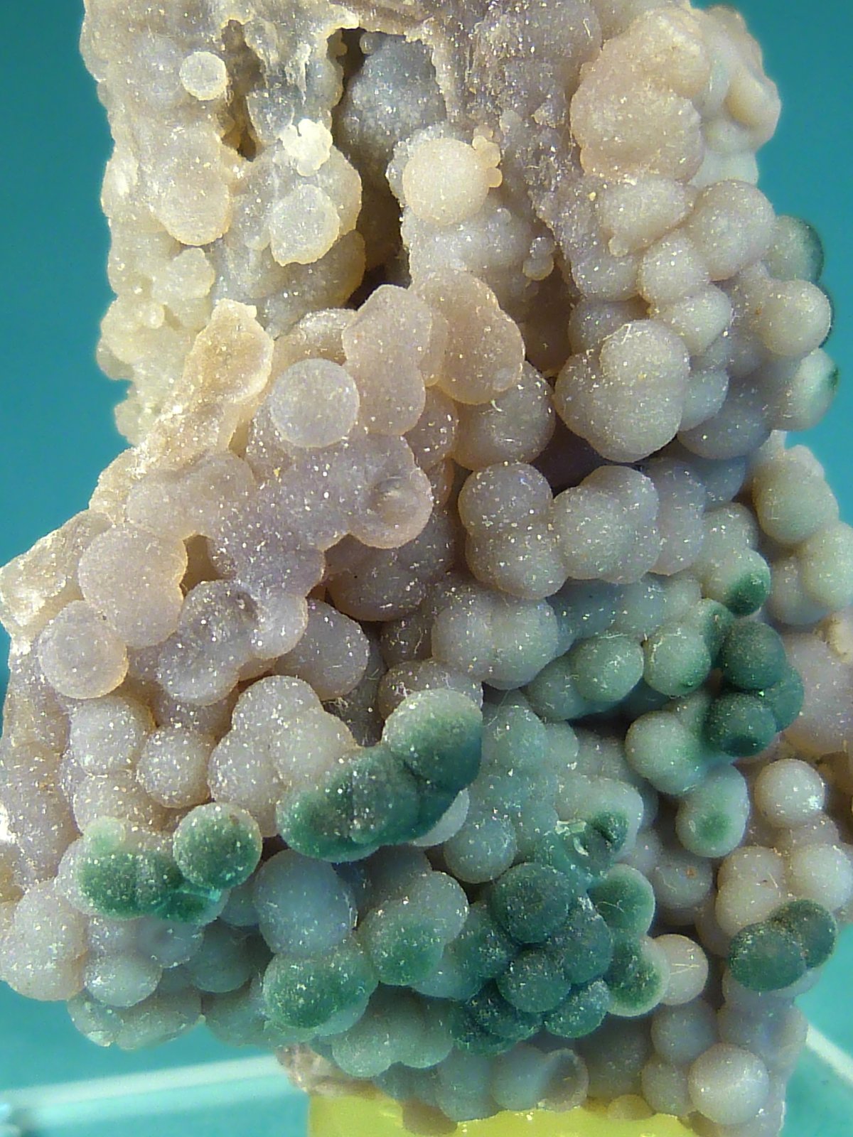 Cuarzo (variedad calcedonia)
5 x 3 x 2,5 cm.
(Autor: Felipe Abolafia)