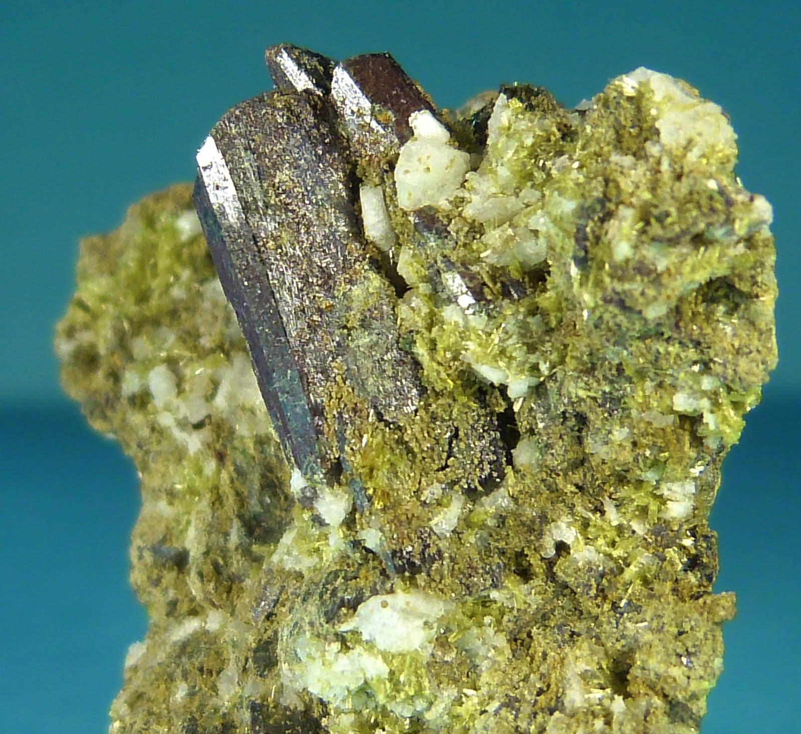 Hedenbergita
3 x 3 x 2 cm.
(Autor: Felipe Abolafia)