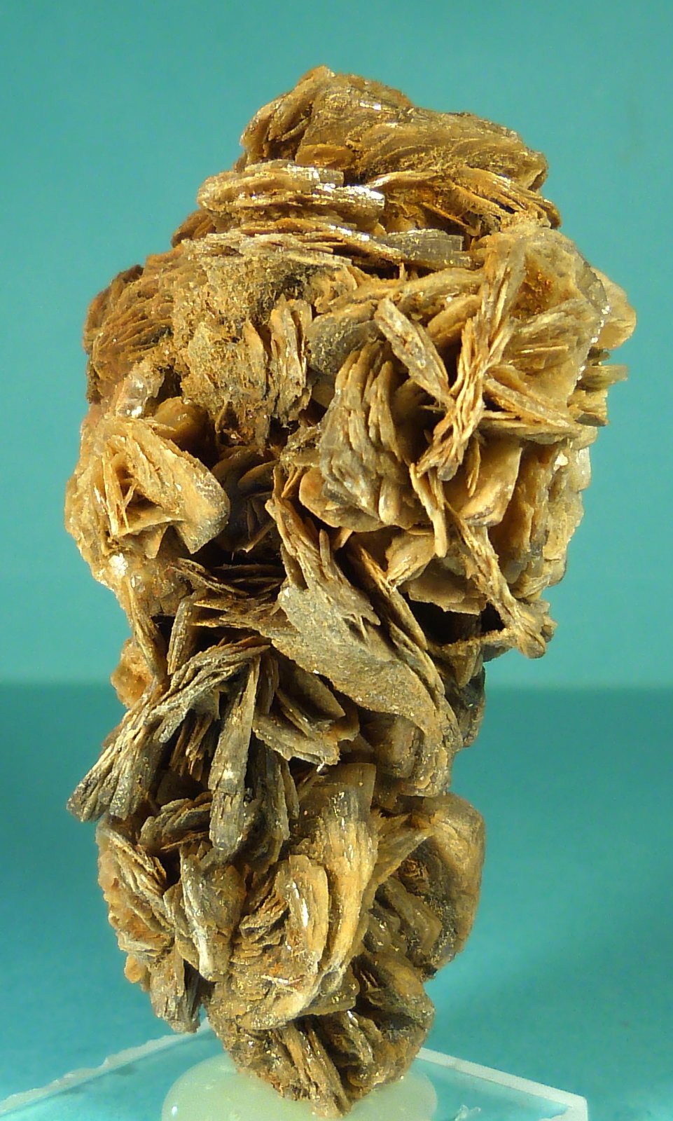 Barita
6,5 x 4 cm.
(Autor: Felipe Abolafia)