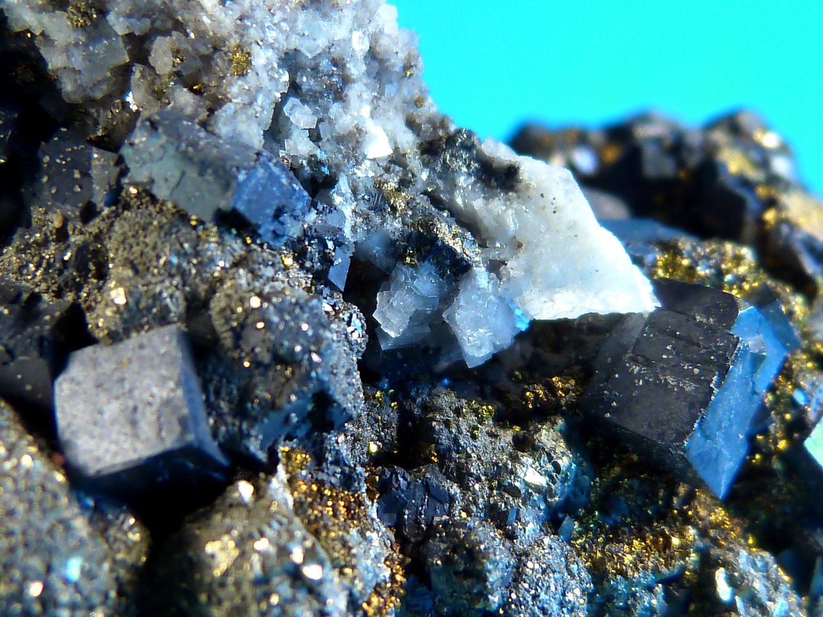 Pirita, Calcita, Calcopirita y Galena
6 x 5 x 4 cm.
(Autor: Felipe Abolafia)