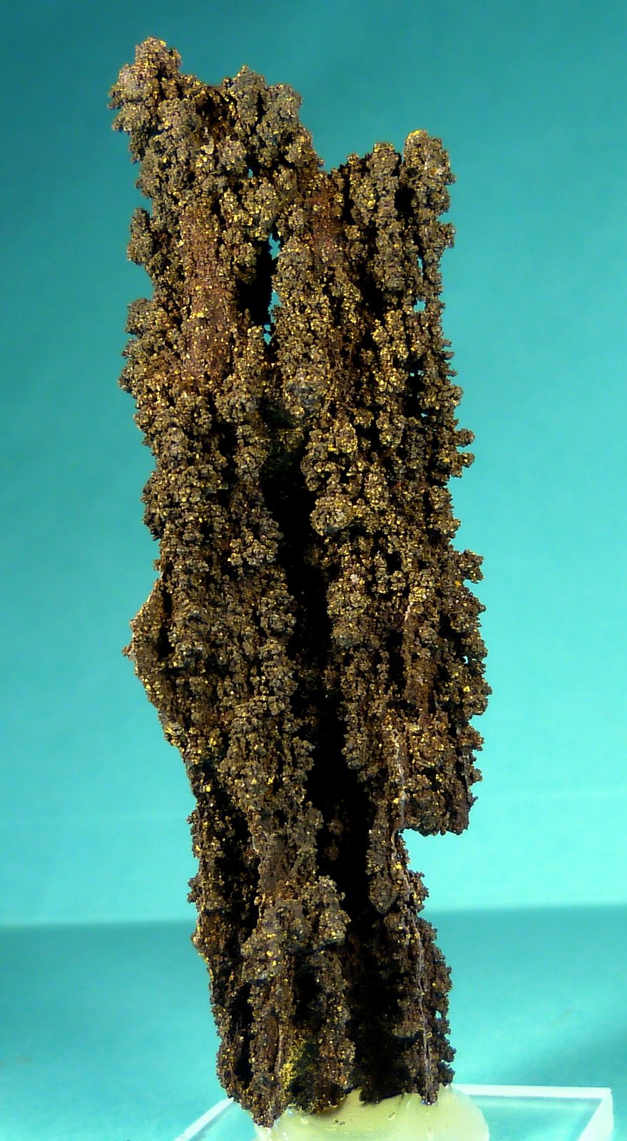 Calcofanita
8 x 2 x 2 cm.
(Autor: Felipe Abolafia)