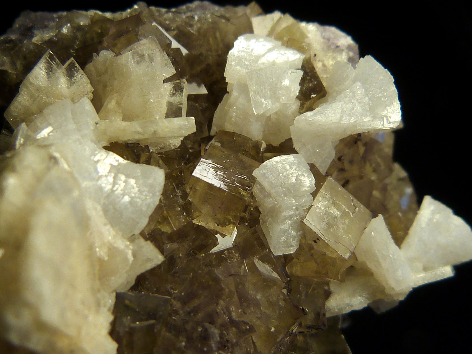 Fluorita, Barita y Dolomita
9,5 x 5,5 cm.
(Autor: Felipe Abolafia)