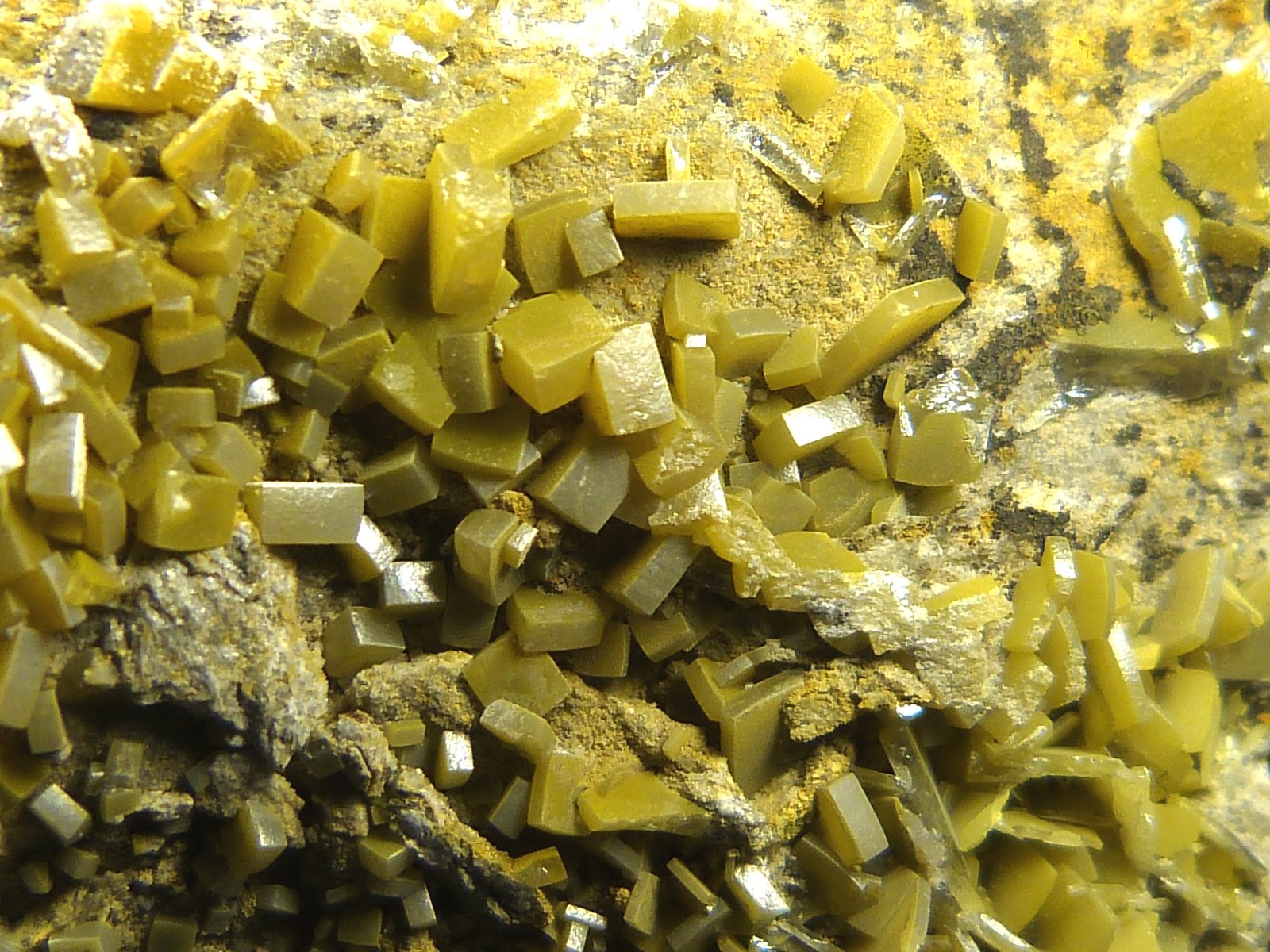 Wulfenita
5 x 3 cm.
(Autor: Felipe Abolafia)