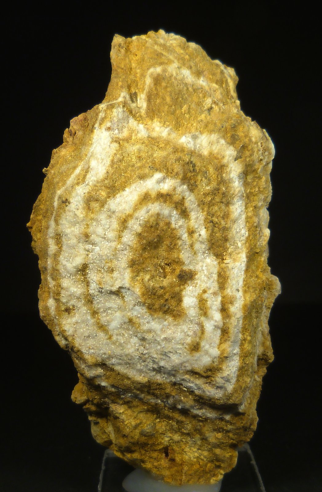 Riolita
8 x 4 cm.
(Autor: Felipe Abolafia)