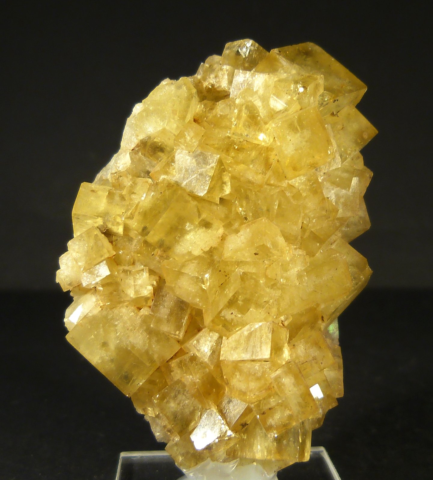 Fluorita
6 x 4 cm.
(Autor: Felipe Abolafia)