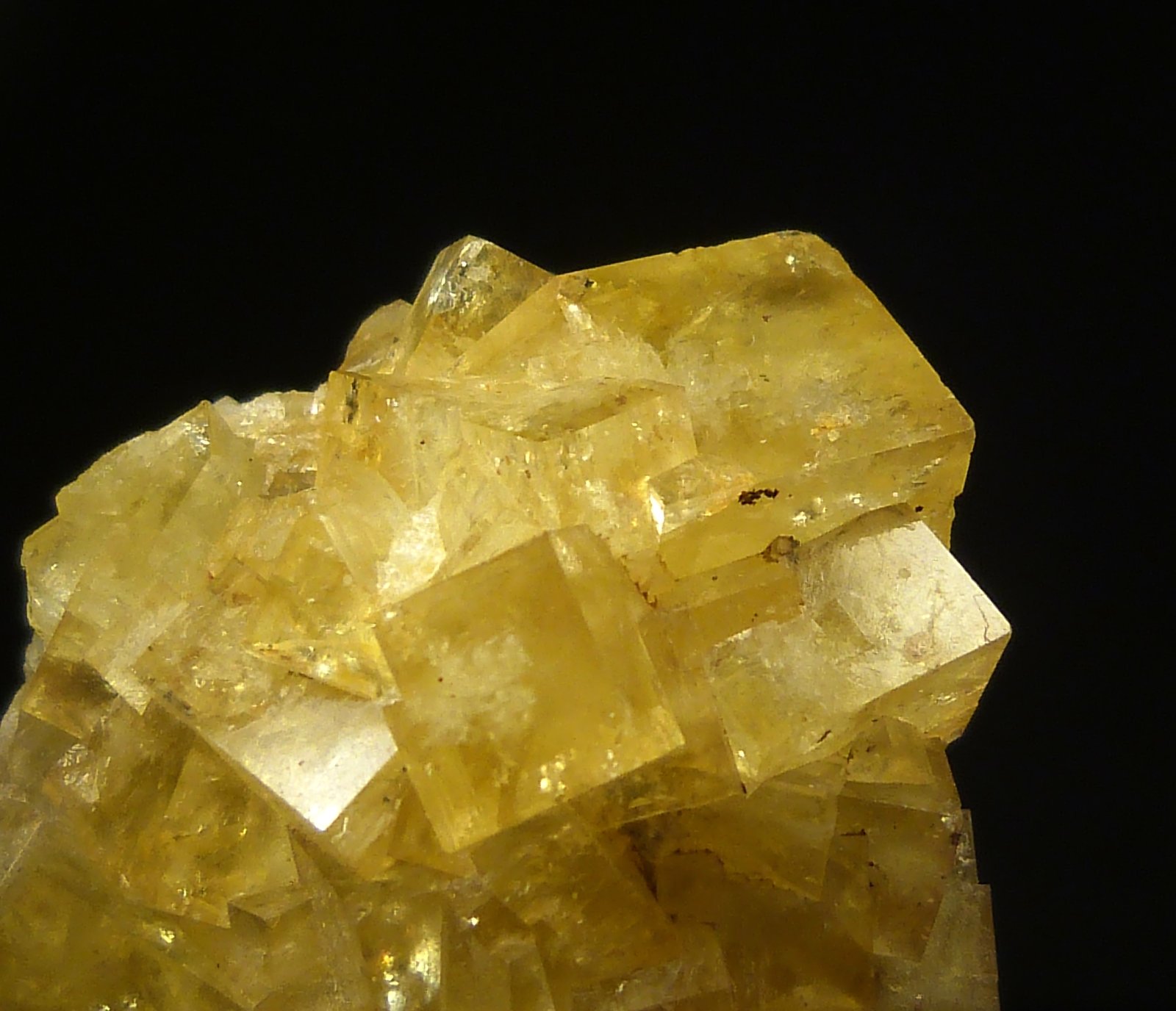 Fluorita
6 x 4 cm.
(Autor: Felipe Abolafia)