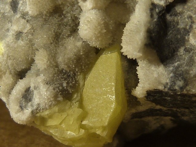 Azufre
7 x 4 x 4 cm.
(Autor: Felipe Abolafia)