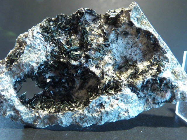 Ferro-actinolita
8 x 5 cm.
(Autor: Felipe Abolafia)
