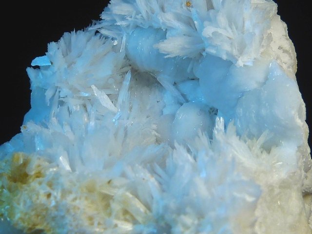 Celestina
6 x 6 cm.
(Autor: Felipe Abolafia)