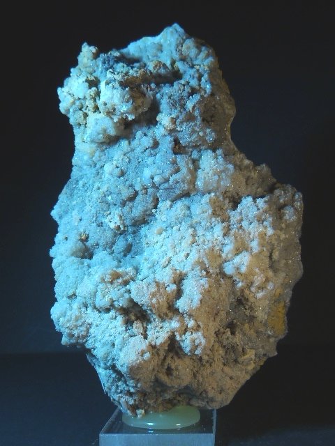 Celestina
12 x 8 cm.
(Autor: Felipe Abolafia)
