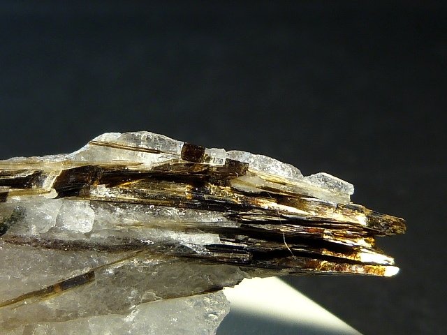 Astrofilita
4 x 2 cm.
(Autor: Felipe Abolafia)