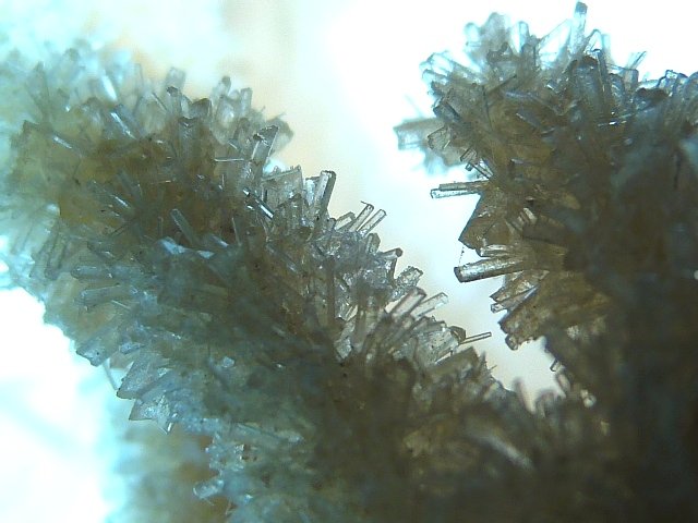 Yeso
13 x 4 cm.
(Autor: Felipe Abolafia)
