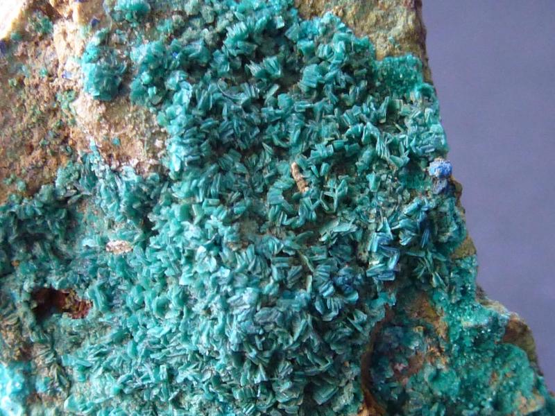 Clinoatacamita
3 x 2 cm
(Autor: javier ruiz martin)