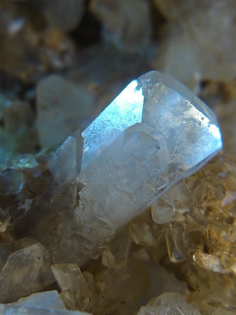 Celestina
15 x 15 x 8 cm.
(Autor: Felipe Abolafia)