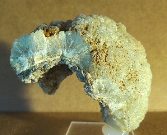 Prehnita
5 x 5 cm.
(Autor: Felipe Abolafia)