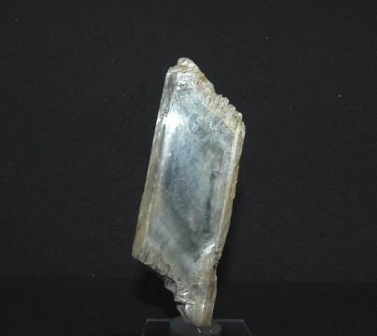 Yeso
2,5 x 1 x 7 cm.
(Autor: Felipe Abolafia)