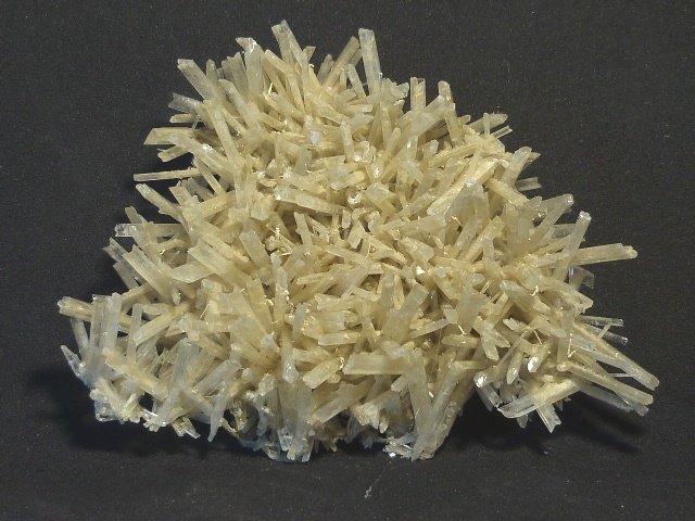 Yeso
9 x 8 cm.
(Autor: Felipe Abolafia)