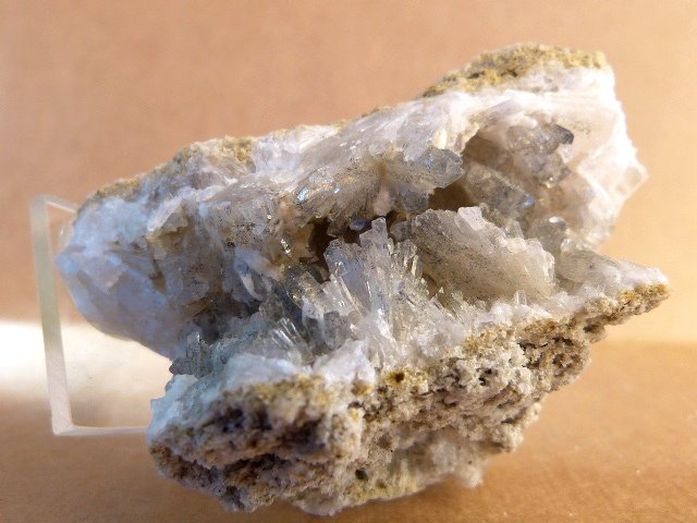 Celestina
7 x 4 x 5 cm.
(Autor: Felipe Abolafia)