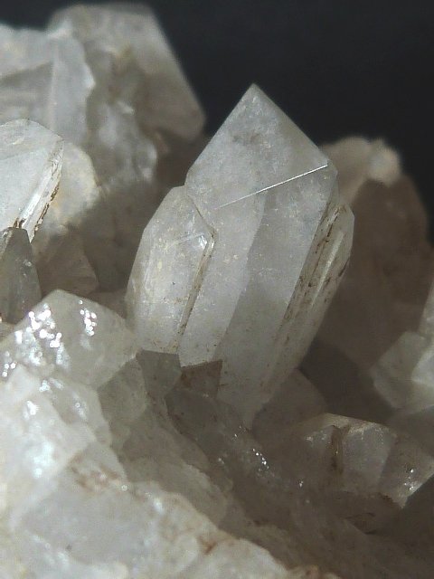 Celestina
18 x 9 cm.
(Autor: Felipe Abolafia)