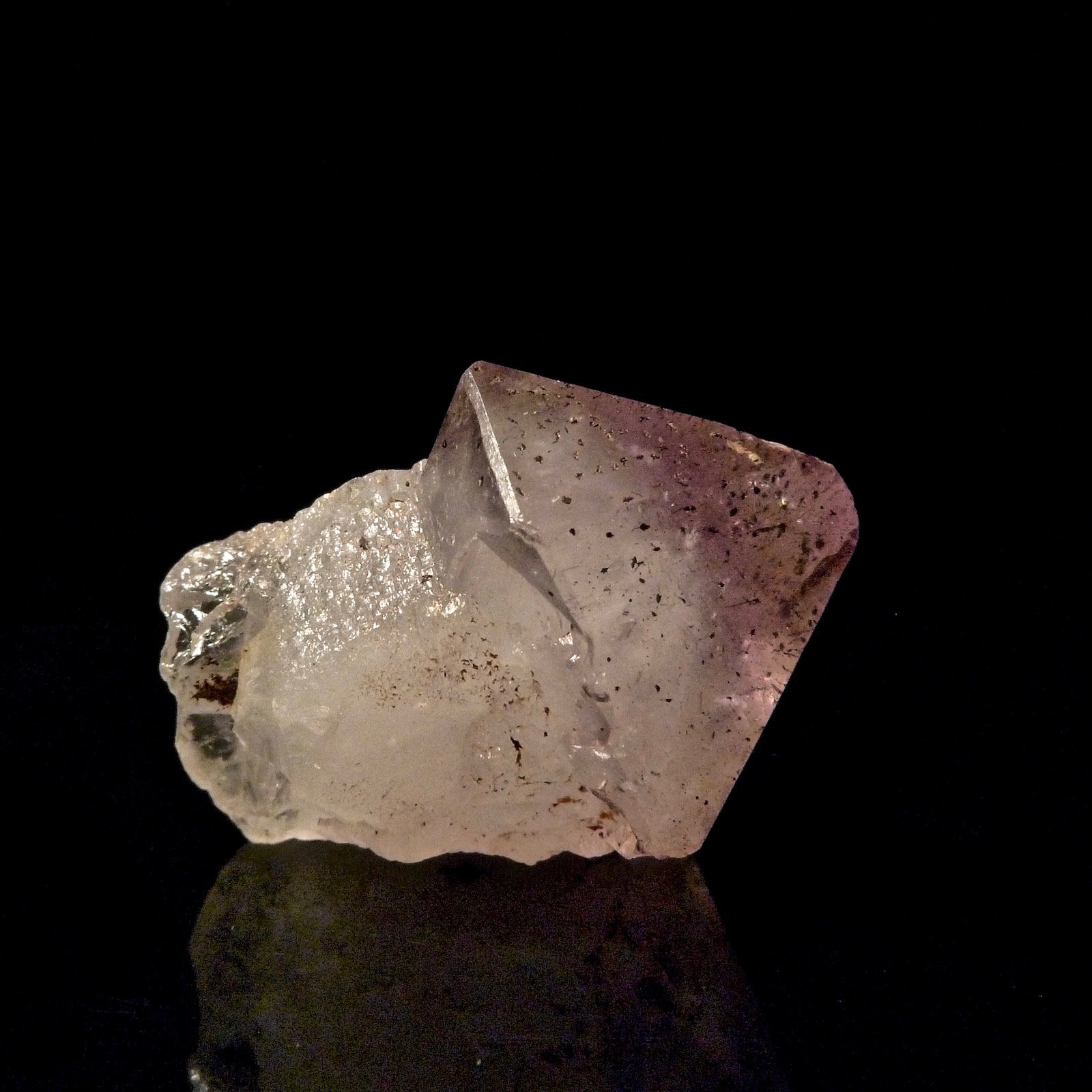 Cuarzo (variedad amatista)
3,3 cm
(Autor: Josele)