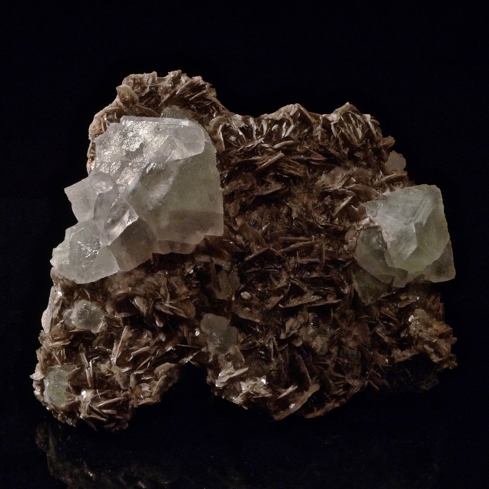 Fluorita + Muscovita
9 x 7,5 x 3 cm
(Autor: Josele)