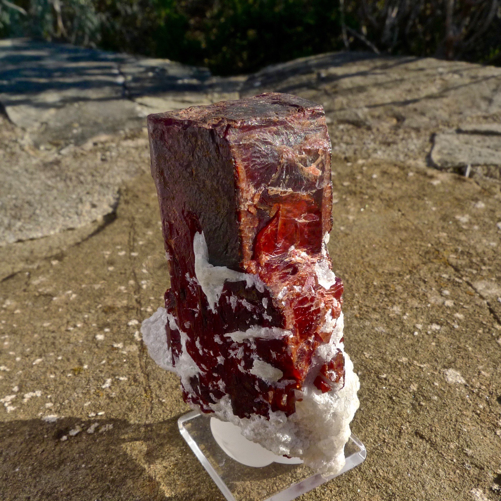 Serie Tantalita-(Fe)-Tantalita-(Mn)
6 x 3,6 x 3,4 cm
(Autor: Josele)
